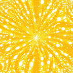 Dandelion Sparklers Pattern 18 Fleece Fabric