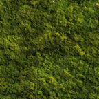 Moss Textures Pattern 11 Fleece Fabric
