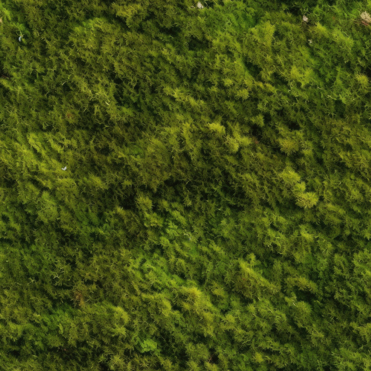 Moss Textures Pattern 11 Fleece Fabric