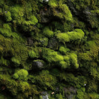 Moss Textures Pattern 4 Fleece Fabric