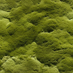 Moss Textures Pattern 9 Fleece Fabric