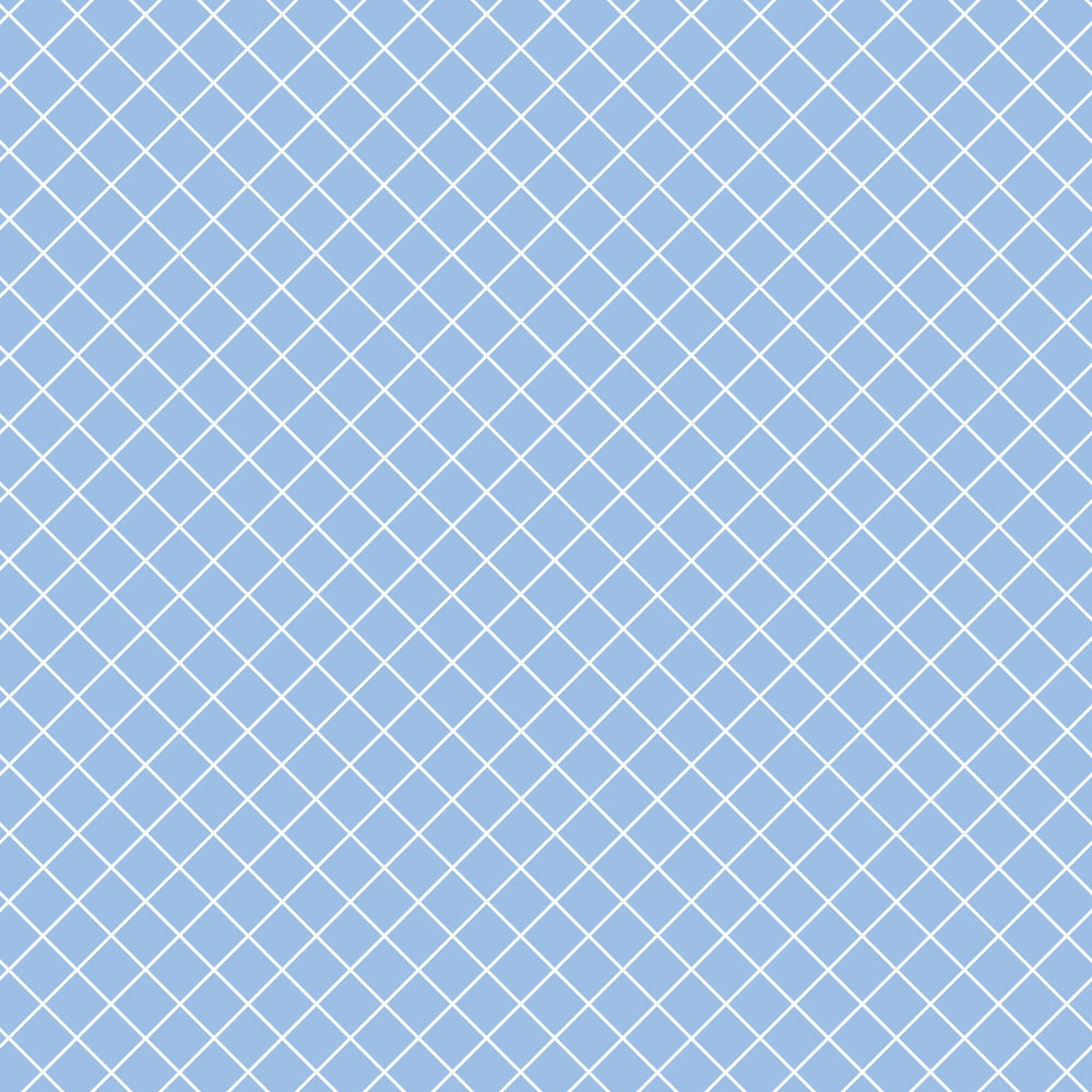 A blue background with a white diagonal grid pattern.