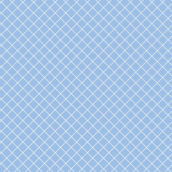 A blue background with a white diagonal grid pattern.