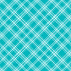 Teal plaid pattern with intersecting white lines forming a crisscross design.