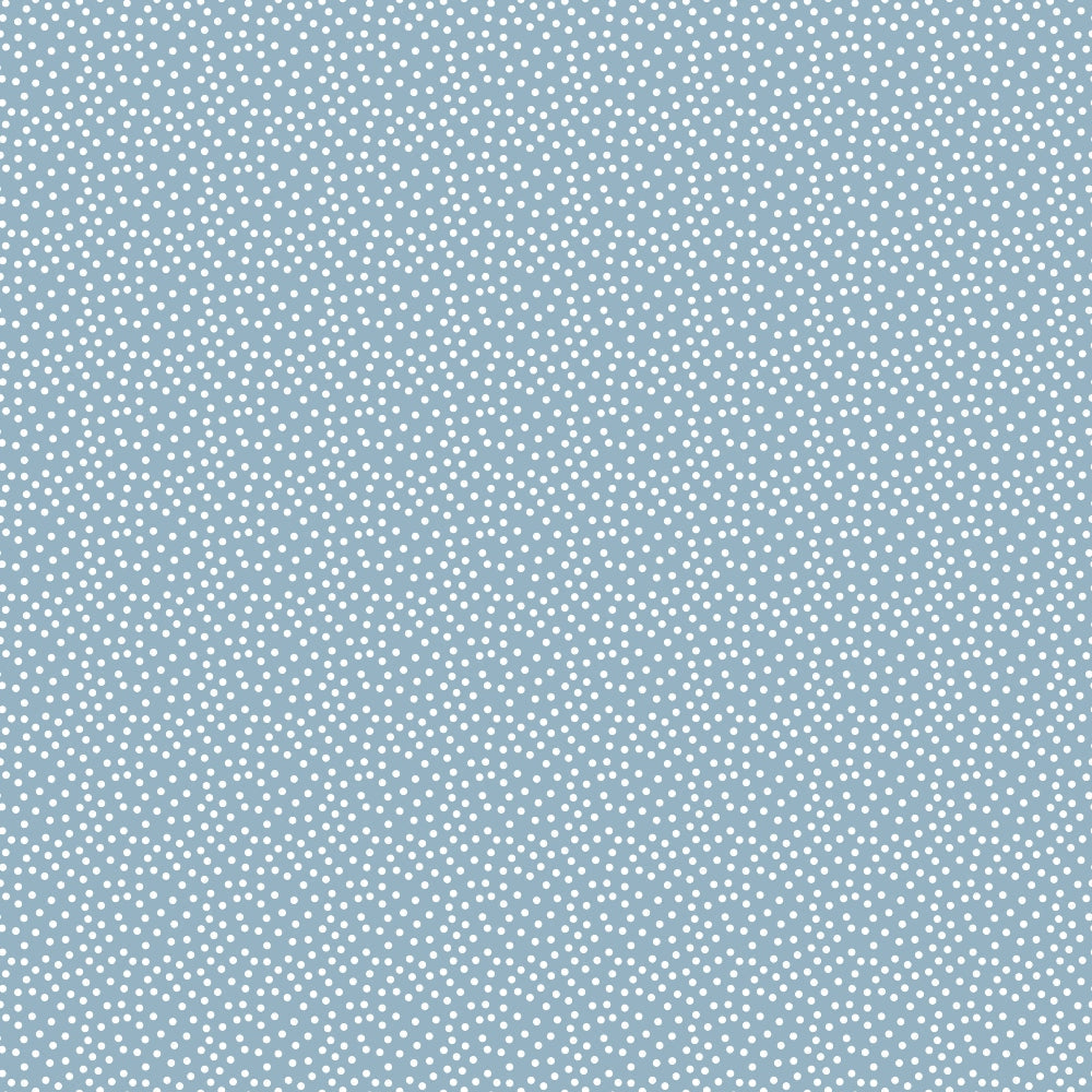 Light blue background with a pattern of evenly spaced small white dots.