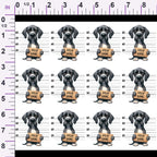 ruler-scale (auto)