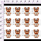 ruler-scale (auto)