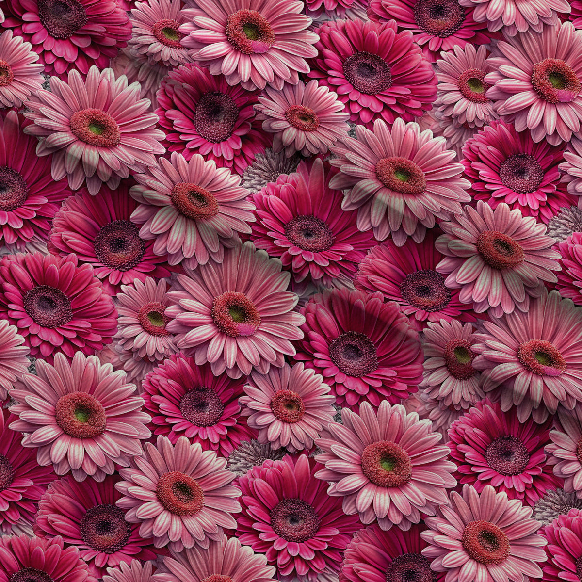 Lush Blooms Pattern 15 Fleece Fabric — fleece fabric folded close-up preview (mv-fleece-v1:lying)