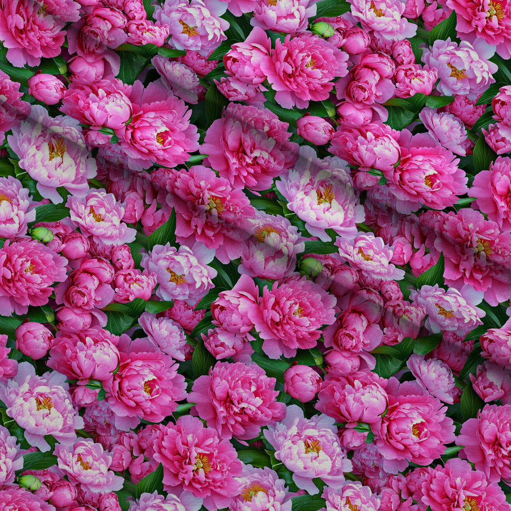 Lush Blooms Pattern 44 Fleece Fabric — fleece fabric folded close-up preview (mv-fleece-v1:lying)