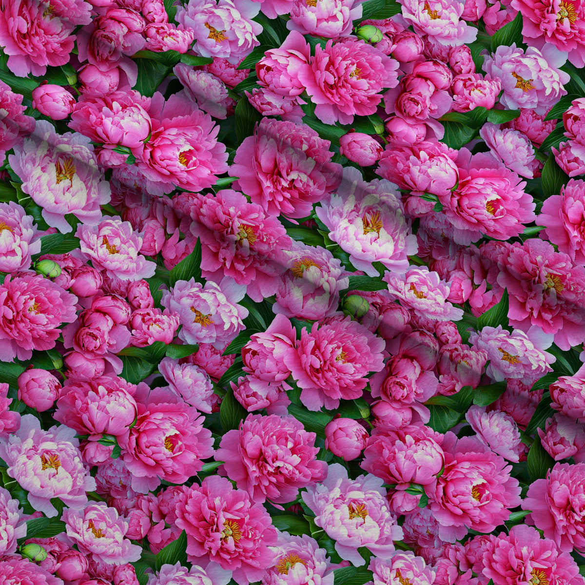 Lush Blooms Pattern 44 Fleece Fabric — fleece fabric folded close-up preview (mv-fleece-v1:lying)