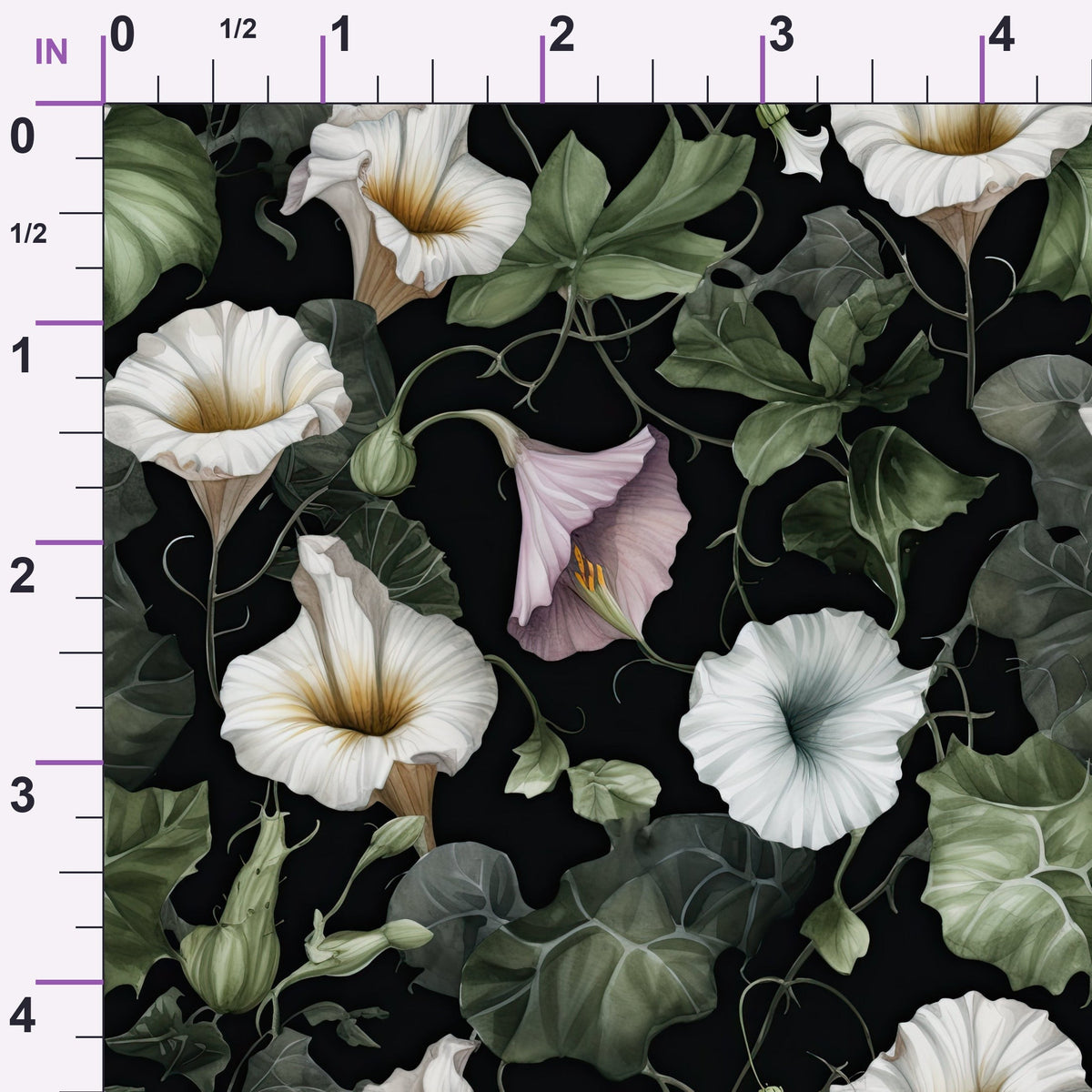 ruler-scale (auto)