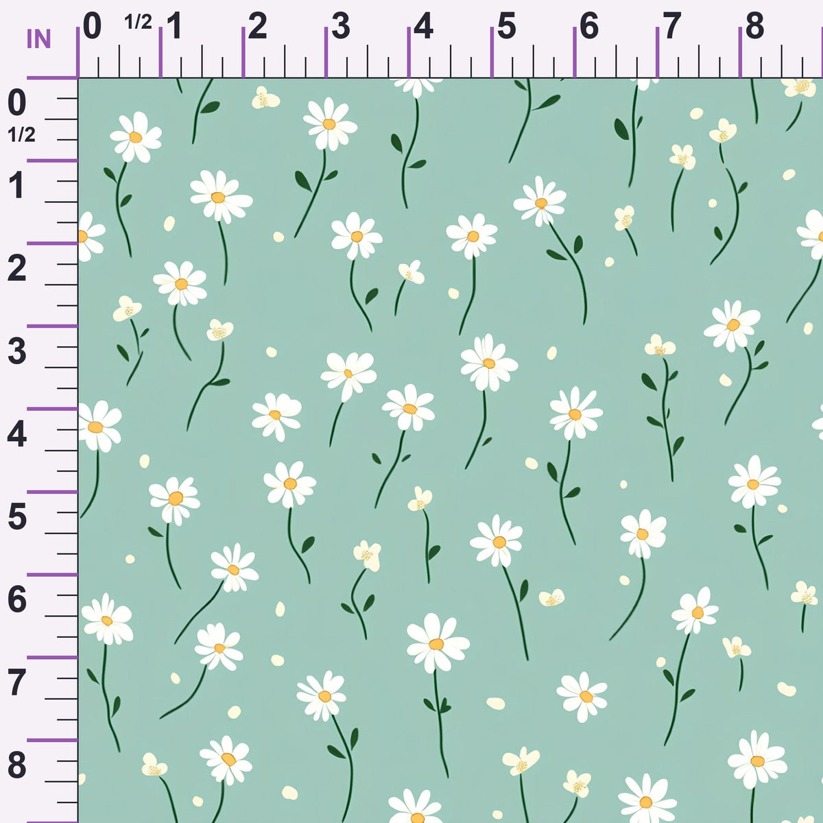 ruler-scale (auto)