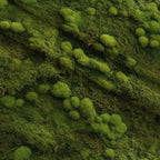 Moss Textures Pattern 10 Fleece Fabric — fleece fabric folded close-up preview (mv-fleece-v1:lying)