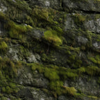 Moss Textures Pattern 2 Fleece Fabric — fleece fabric folded close-up preview (mv-fleece-v1:lying)