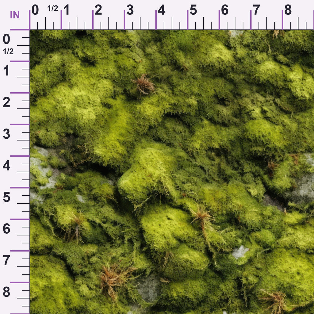 ruler-scale (auto)