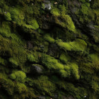 Moss Textures Pattern 4 Fleece Fabric — fleece fabric folded close-up preview (mv-fleece-v1:lying)