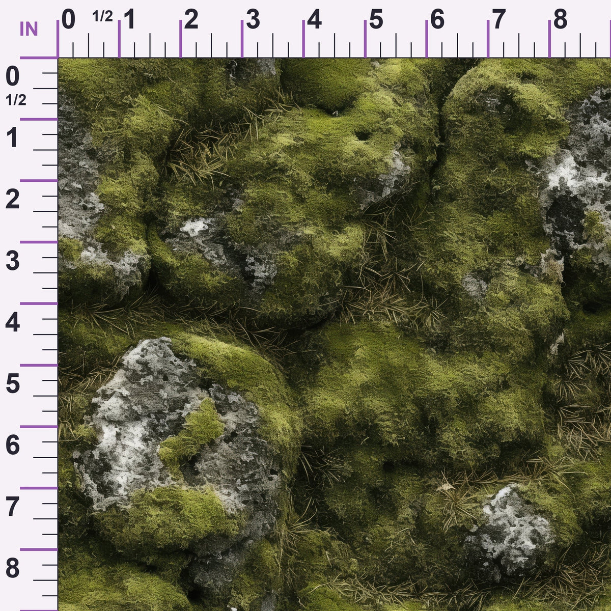 ruler-scale (auto)