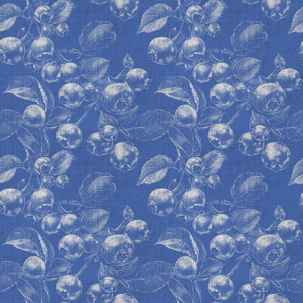 navy blue, cream, white, botanical print, fruit pattern, berry motif, blueberry design, spherical fruits, vintage botanical, nature inspired, orchard theme, garden pattern, classic style, traditional print, elegant design, naturalistic illustration, engraved style, botanical sketch, cottage core, farmhouse aesthetic, nature lover, fruit orchard, summer harvest, autumn harvest, rustic elegance, timeless pattern, heritage print, botanical garden, produce pattern, berry picking