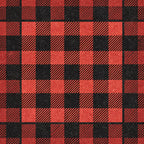 red, black, buffalo plaid, checkered pattern, gingham, plaid design,, fabric panel, alternating squares, diagonal stripes, rustic, country style, geometric pattern, textured appearance, cabin decor, lumberjack plaid, woven effect, square blocks, contrasting colors, vintage plaid