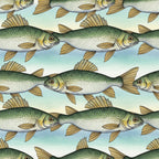 sage green, cream, light blue, tan, gold, fish, aquatic, underwater, nautical, nature, animals, repeating pattern, striped, coastal, fishing, stream, river, freshwater, whimsical, children's, kids room, playroom, nursery, nature-inspired, vintage illustration, hand-drawn, pond life, scales, fins, swimming