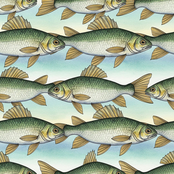 sage green, cream, light blue, tan, gold, fish, aquatic, underwater, nautical, nature, animals, repeating pattern, striped, coastal, fishing, stream, river, freshwater, whimsical, children's, kids room, playroom, nursery, nature-inspired, vintage illustration, hand-drawn, pond life, scales, fins, swimming