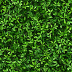 forest green, lime green, emerald green, tiny leaves, botanical pattern, nature motif, small scale print, dense foliage, leafy design,, fabric panel, natural elements, organic shapes, verdant, lush greenery, seamless pattern, miniature botanicals, spring fresh, vibrant greens