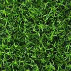 green, lime green, dark green, forest green, tiny leaves, leaf pattern, botanical design, nature motif, dense foliage, small scale print,, fabric panel, natural elements, organic pattern, leafy texture, botanical print, miniature leaves, verdant, lush greenery, seamless pattern