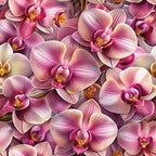 pink orchids, purple flowers, magenta petals, cream accents, yellow stamens, realistic floral, botanical pattern, exotic flowers, tropical blooms, seamless design,, fabric panel, floral motif, orchid blossoms, nature inspired, elegant florals, vibrant colors, detailed petals, flower photography style, cotton fabric