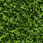forest green, lime green, emerald, sage green, tiny leaves, leaf pattern, botanical design, nature motif, dense foliage, small scale print,, fabric panel, natural elements, organic pattern, layered leaves, textured appearance, seamless design, earthy tones, garden inspired, miniature botanicals
