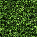 forest green, emerald green, lime green, sage green, tiny leaves, botanical pattern, leaf motif, nature design, dense foliage,, fabric panel, realistic leaves, organic pattern, lush greenery, small scale print, natural texture, layered design, fresh spring, garden theme, botanical illustration