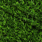 Verdant Canopy Pattern 10 Fleece Fabric — fleece fabric folded close-up preview (mv-fleece-v1:lying)
