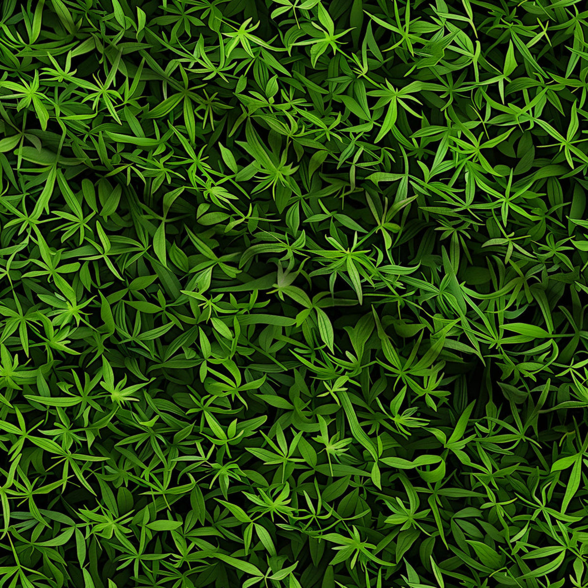 Verdant Canopy Pattern 10 Fleece Fabric — fleece fabric folded close-up preview (mv-fleece-v1:lying)