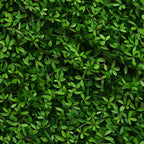 Verdant Canopy Pattern 12 Fleece Fabric — fleece fabric folded close-up preview (mv-fleece-v1:lying)