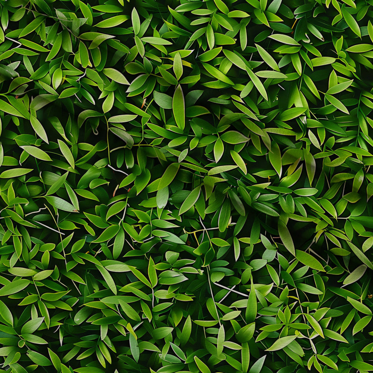 Verdant Canopy Pattern 9 Fleece Fabric — fleece fabric folded close-up preview (mv-fleece-v1:lying)